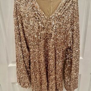 Sequin V neck Long Sleeve Top